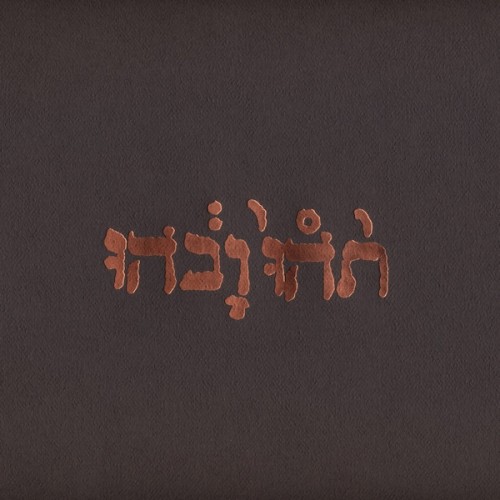 Godspeed You Black Emperor! ‎– Slow Riot For New Zero Kanada E.P. / LP