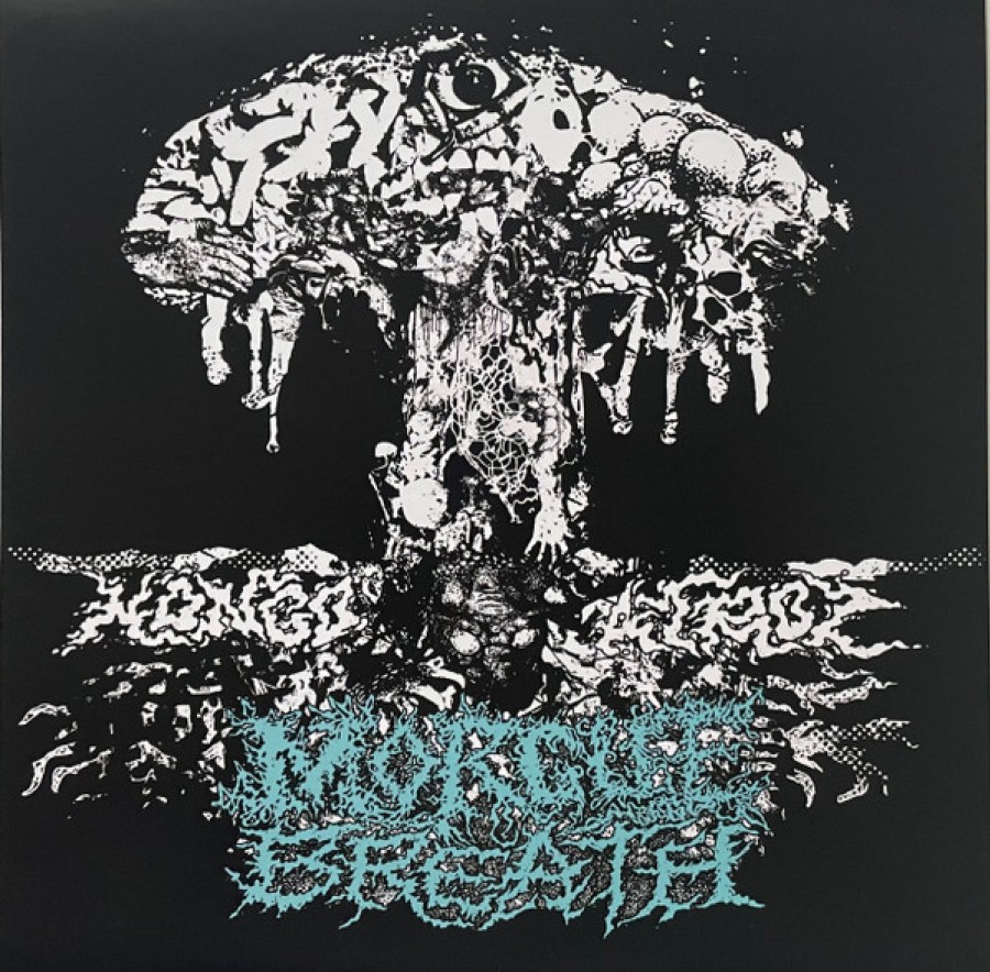 Morgue Breath / Blue Holocaust – Hongo Atroz / After The Fall Of Man - SPLIT / CD