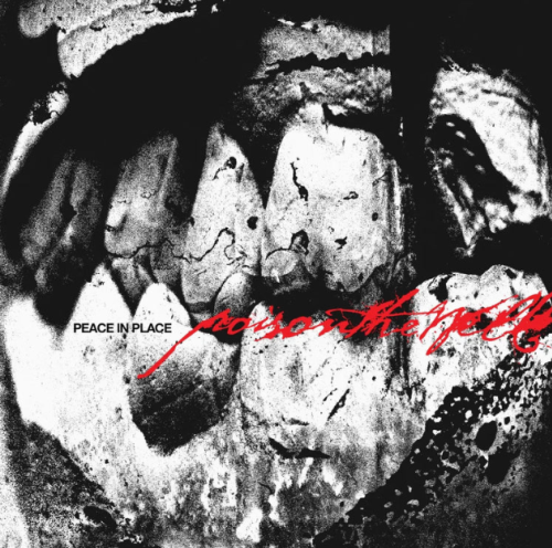 POISON THE WELL "Peace In Place" / LP pre-order