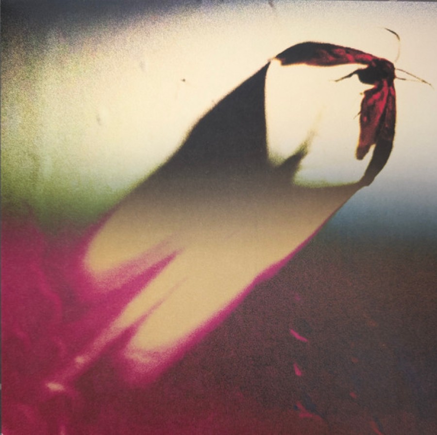 Scowl – Are We All Angels / LP