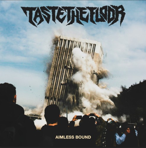 Taste The Floor - Aimless Bound / LP pre-order