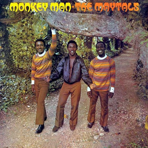 THE MAYTALS - Monkey Man / LP pre-order